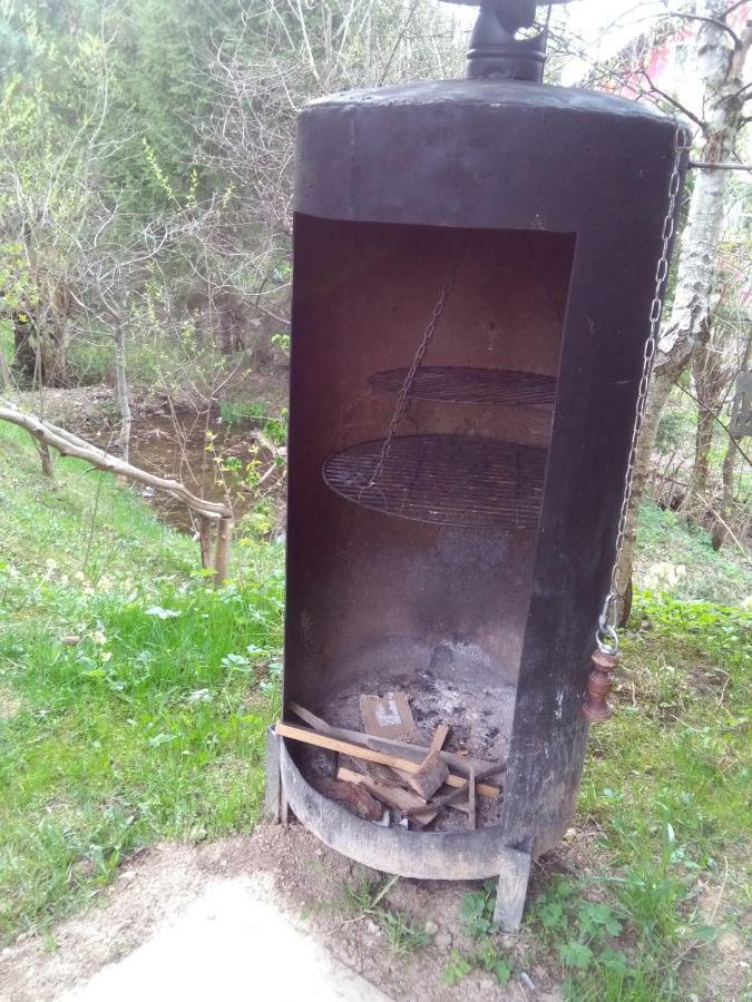 Jasionka Διαμέρισμα Ustrzyki Dolne Εξωτερικό φωτογραφία